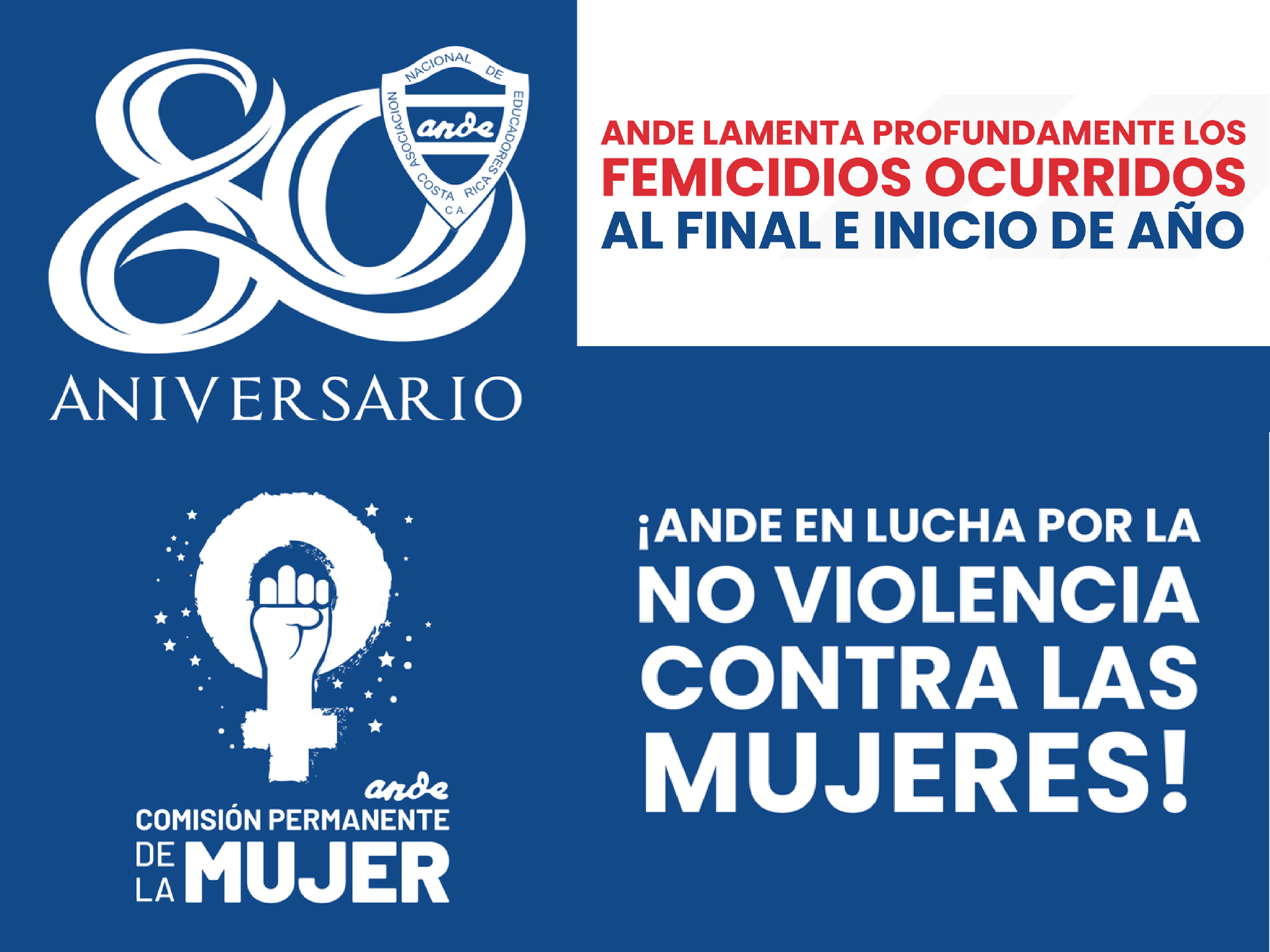 ANDE lamenta femicidios