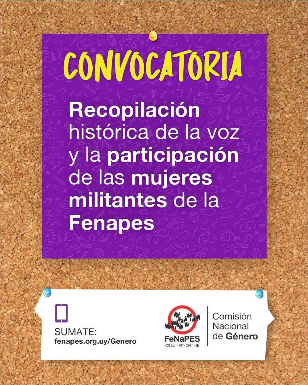 Recopilación histórica mujeres en FeNaPES